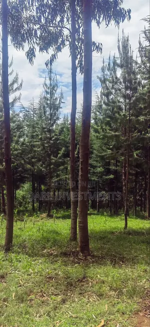 2.5 Acres of Land for Sale.