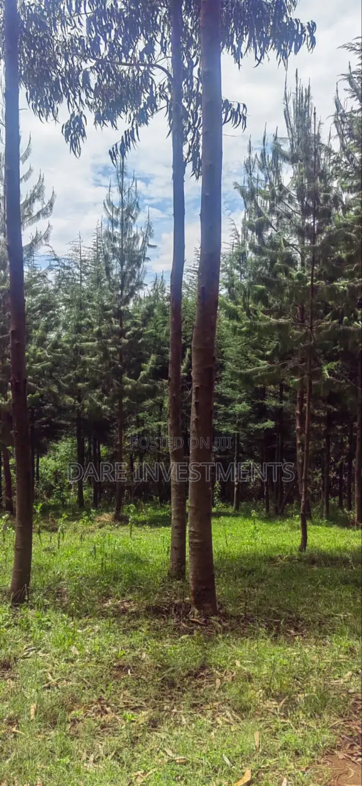 2.5 Acres of Land for Sale.