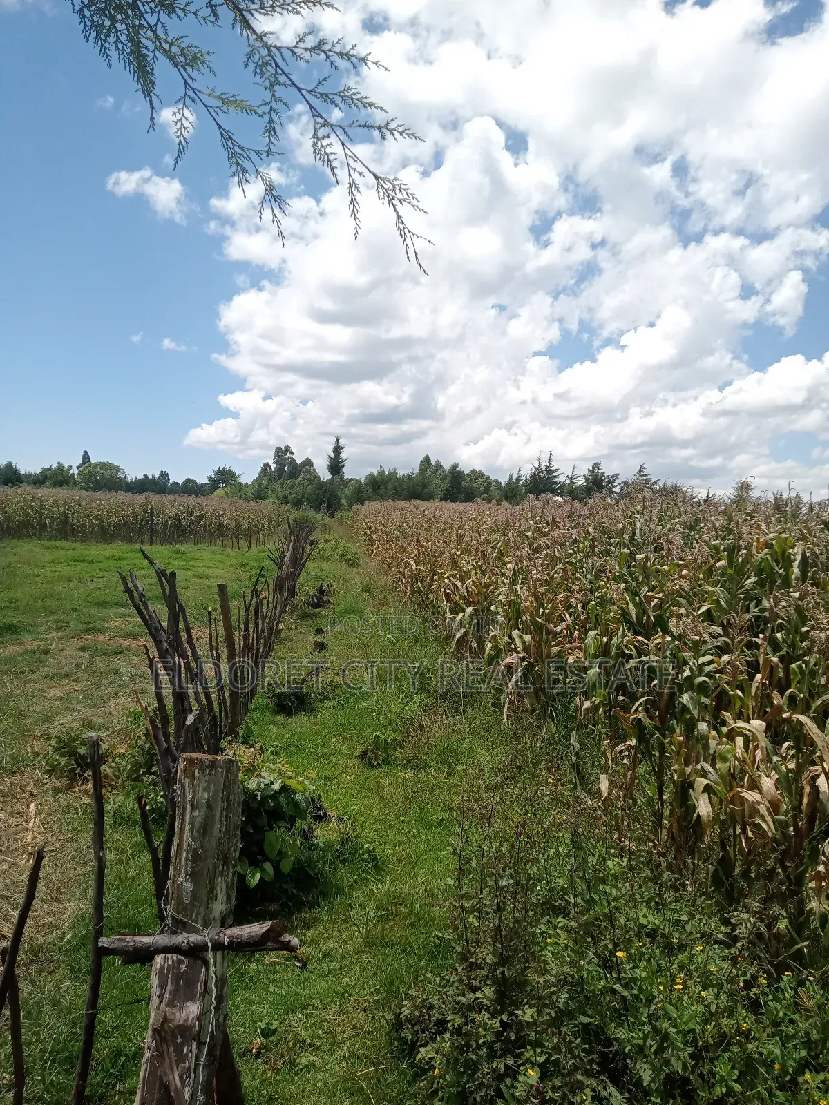 21 Acres Talnget After Ilula With Title