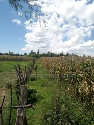 21 Acres Talnget After Ilula With Title