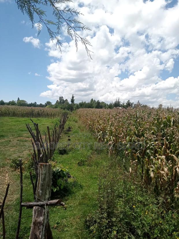 21 Acres Talnget After Ilula With Title