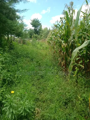 21 Acres Talnget After Ilula With Title