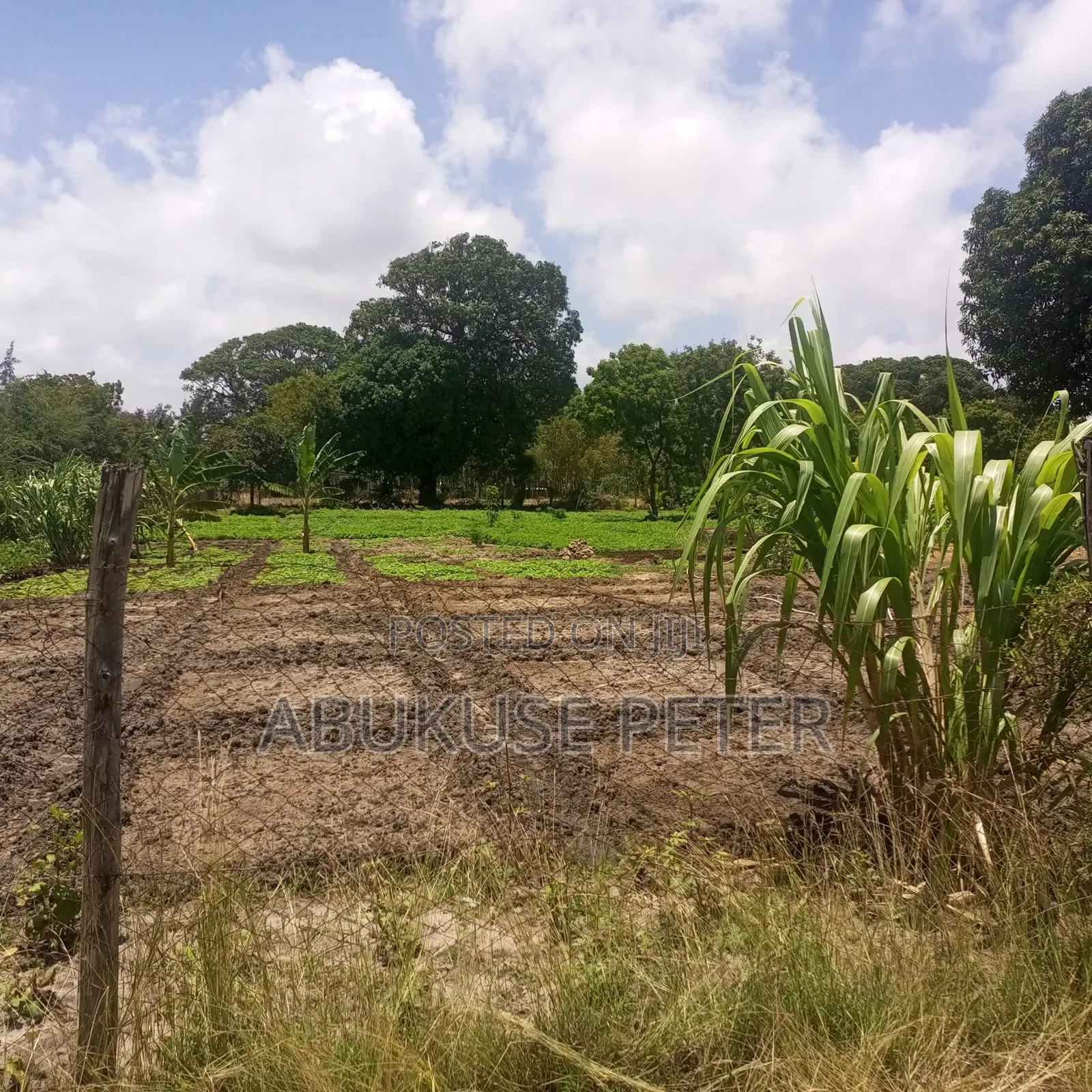 1/2 Acre Kikambala in Kikambala Land & Plots for Sale, Abukuse Peter