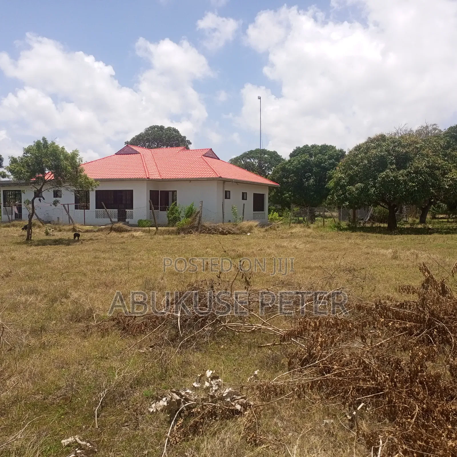 1/2 Acre Kikambala in Kikambala Land & Plots for Sale, Abukuse Peter