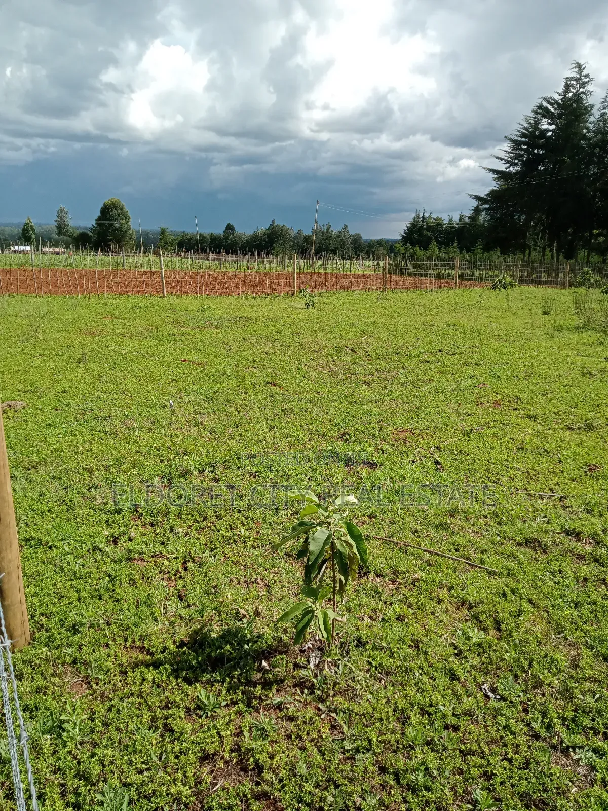 1/4 Plot Kapseret Inder Area You Can Access Through Bypass.