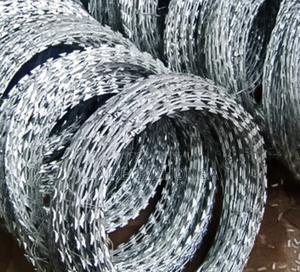 Stainless Razor Wire - thumbnail 2