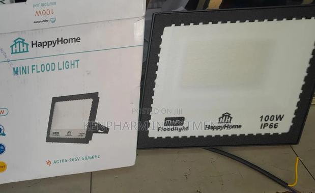 Floodlight 100 Watts; Ip006