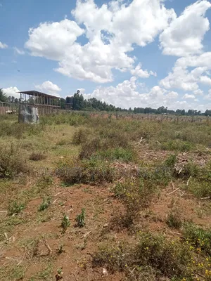 1/8 Plot Outspan After Annex Kiambaa Area