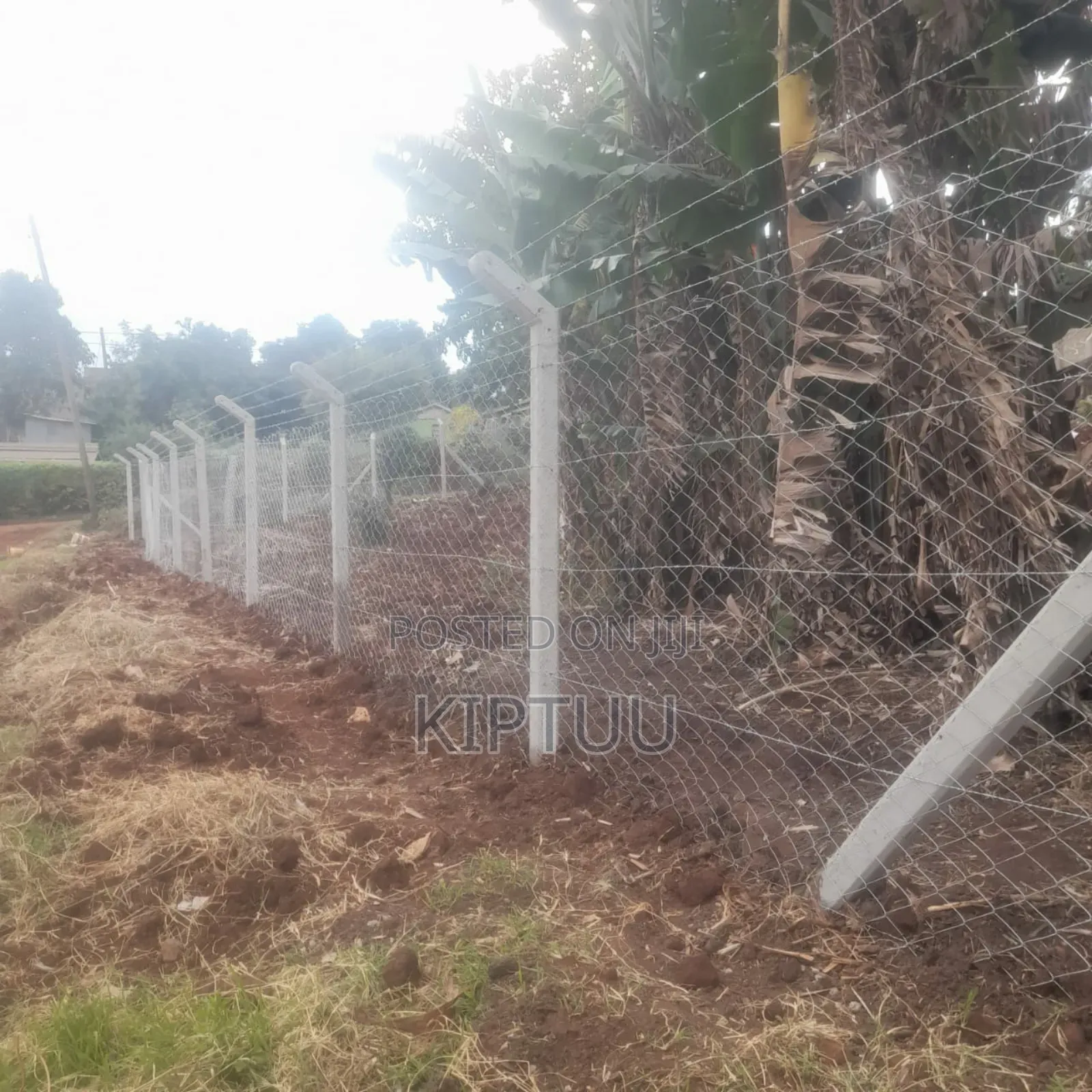 Fencing Services