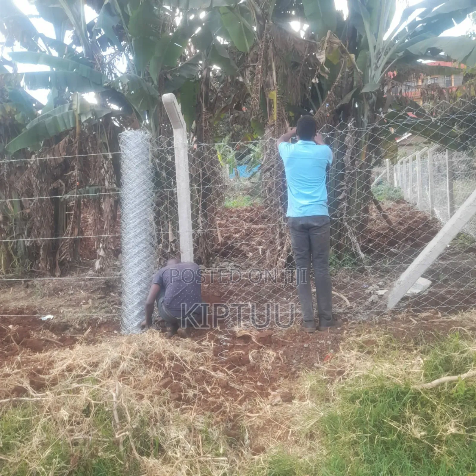 Fencing Services