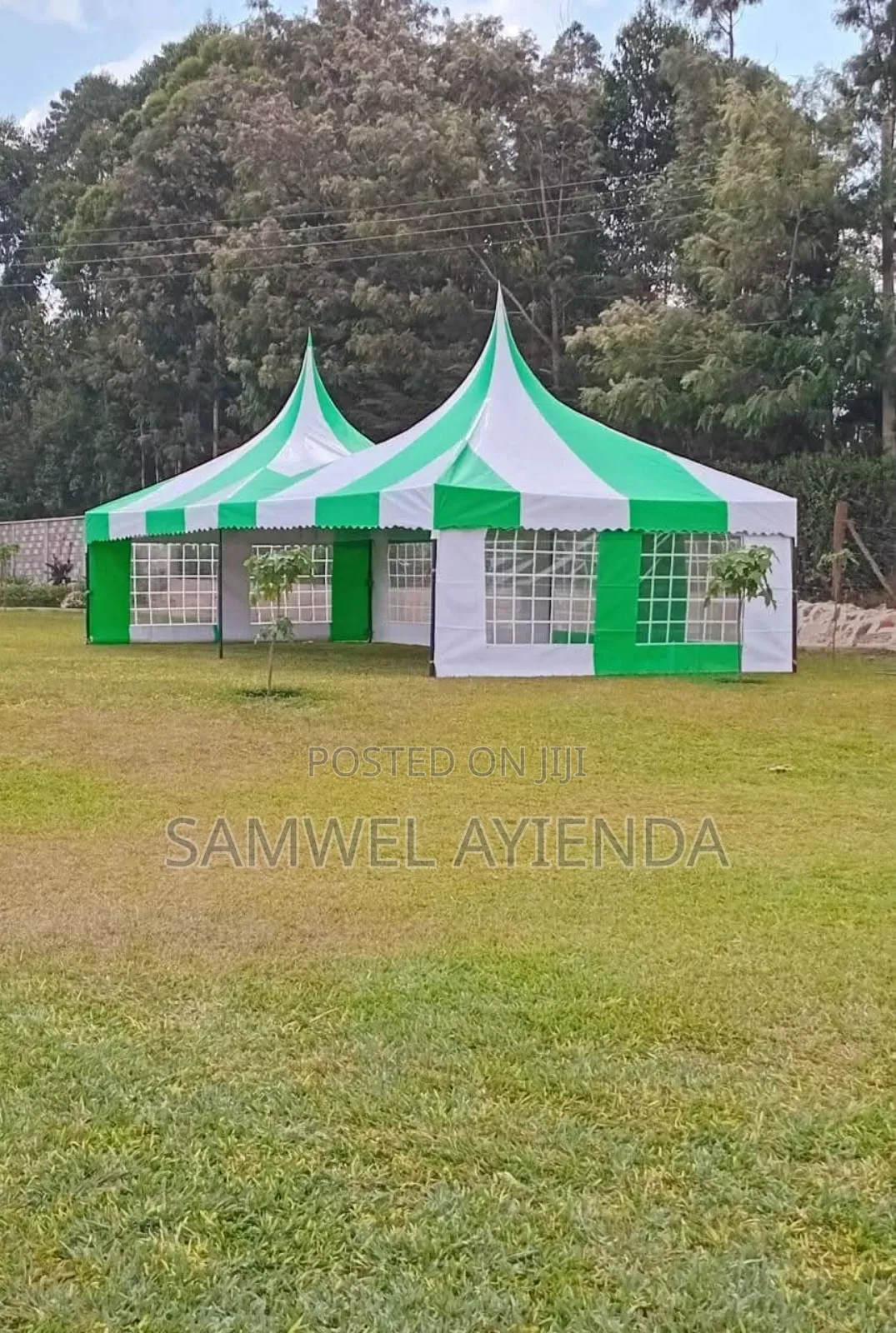 100seater Including Delivery