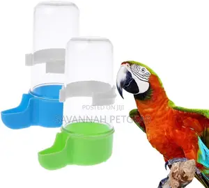 Automatic Bird Water Feeding Food Container Parrot Drinking