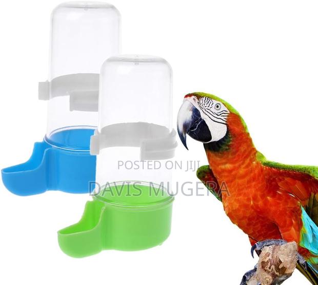 Automatic Bird Water Feeding Food Container Parrot Drinking - main view