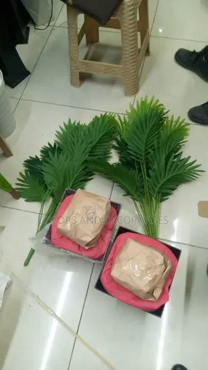 Palm Trees With Black Vases