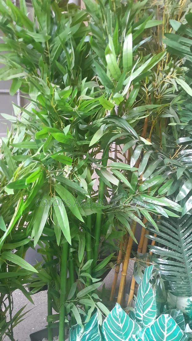 Bamboo Sticks 1.5m,1.8m, 2.6m All Available