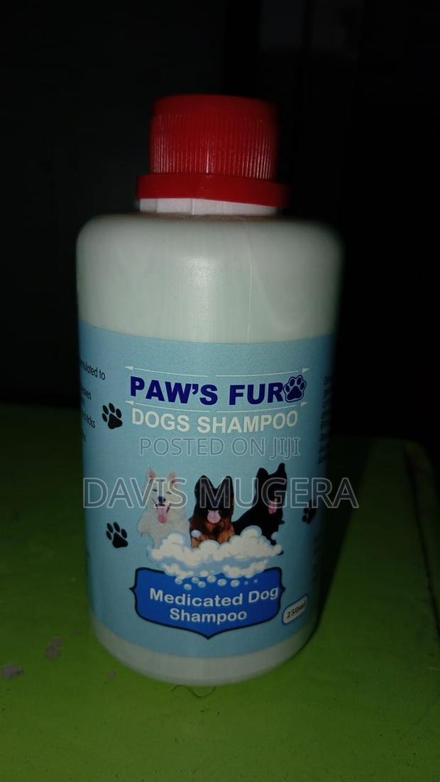 Paws Fur Dog Shampoo - 250ml - main view