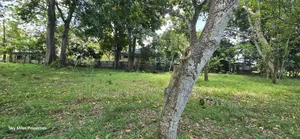 Prime 2.5-Acre Parcel of Land for Sale in Mtwapa