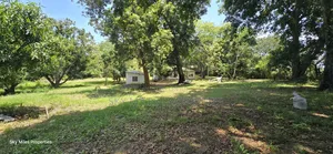 Prime 2.5-Acre Parcel of Land for Sale in Mtwapa