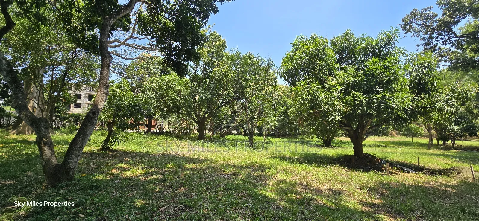 Prime 2.5-Acre Parcel of Land for Sale in Mtwapa