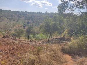 Prime Land 10acres,Muthatari,Embu - thumbnail 2
