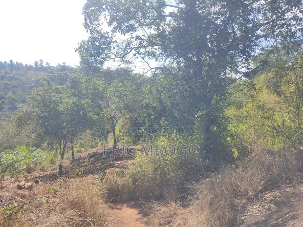 Prime Land 10acres,Muthatari,Embu - thumbnail 4