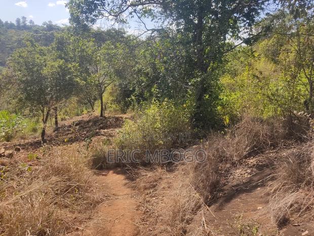 Prime Land 10acres,Muthatari,Embu - thumbnail 6