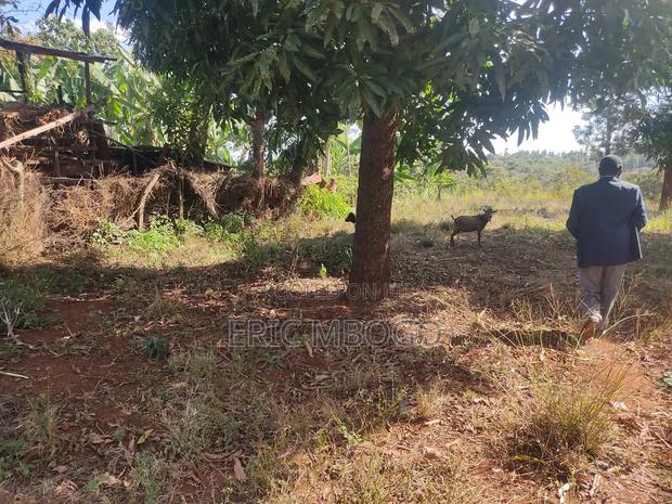 Prime Land 10acres,Muthatari,Embu - thumbnail 7