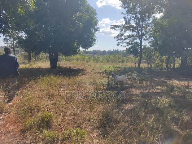 Prime Land 10acres,Muthatari,Embu - thumbnail 8
