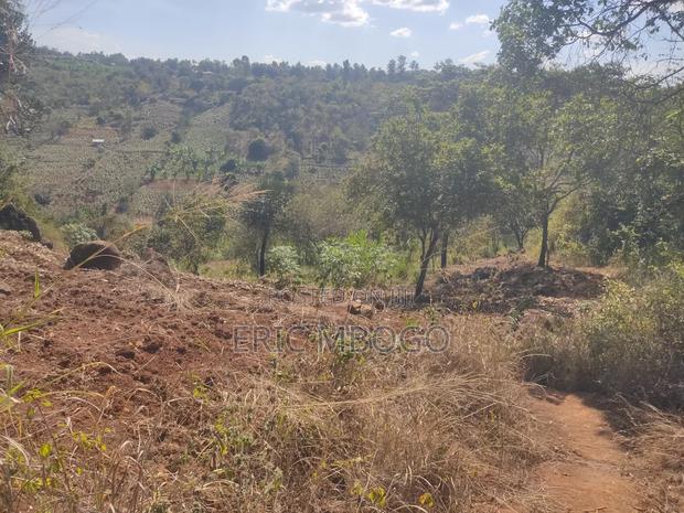 Prime Land 10acres,Muthatari,Embu - thumbnail 13