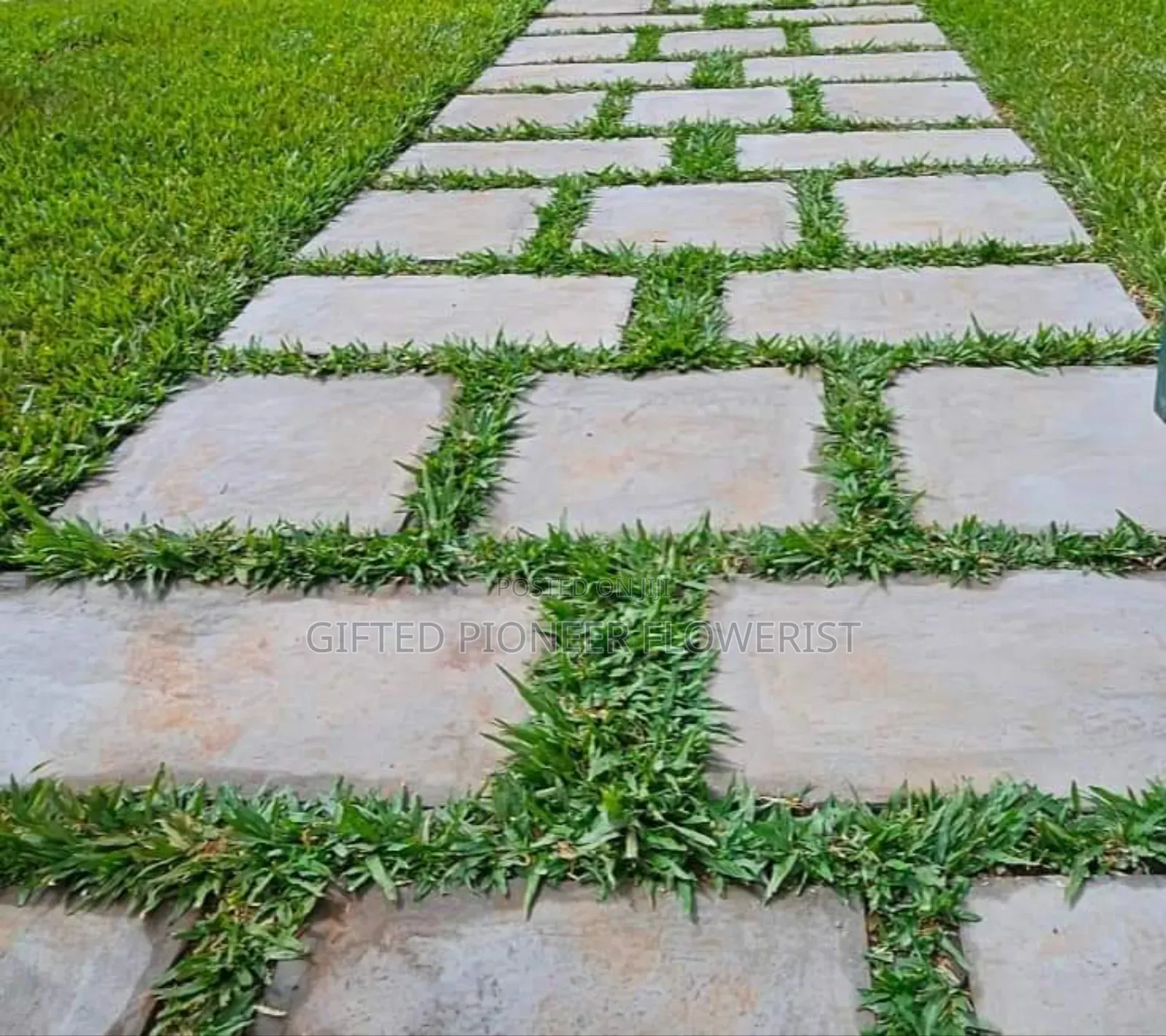 Red Top Soil /Pemba Grass(General Landscaping Solutions )