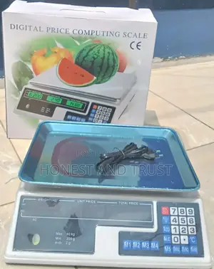 40 Kg Armless Computing Scale