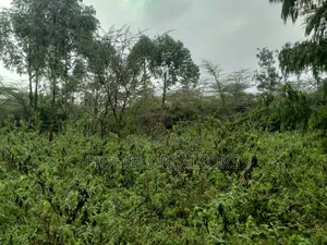 Quarter Acre Plot in Ongata Rongai, Acacia Along Merisho Rd