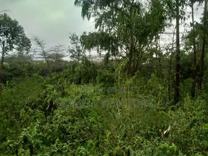 Quarter Acre Plot in Ongata Rongai, Acacia Along Merisho Rd