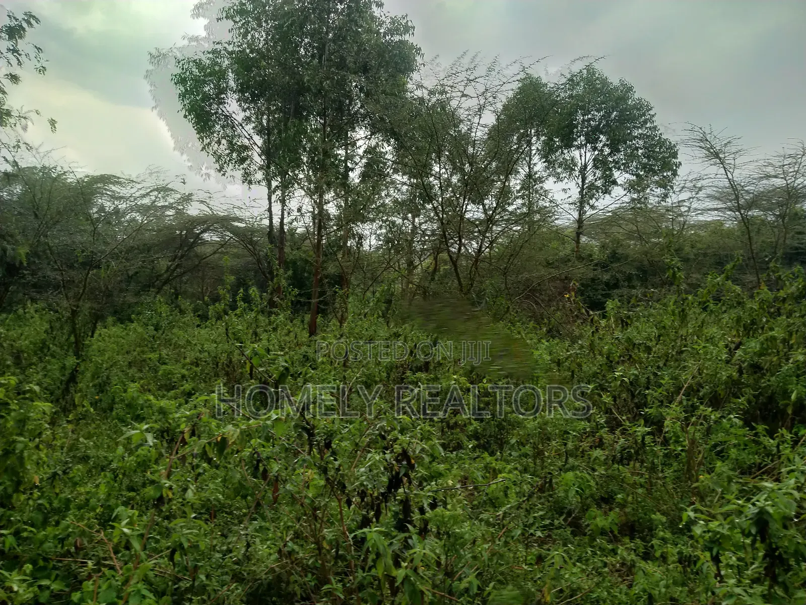 Quarter Acre Plot in Ongata Rongai, Acacia Along Merisho Rd