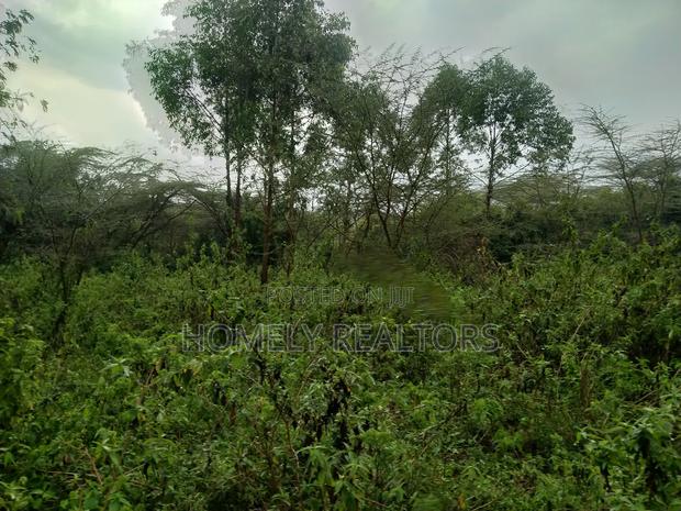 Quarter Acre Plot in Ongata Rongai, Acacia Along Merisho Rd - thumbnail 3