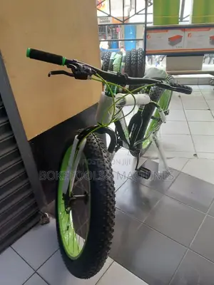 Fat Bike Bicycle