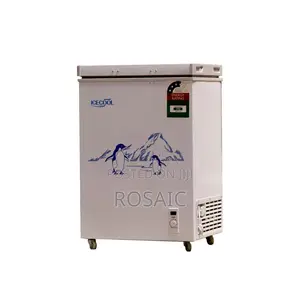 Ice Cool 60l Freezer