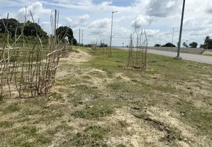Dongo Kundu Prime Plots on Sale! At
