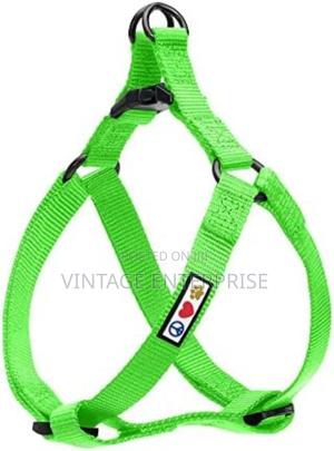 Dog Leash / Dog Leash - main view