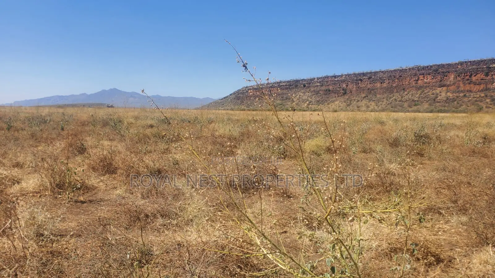 One Acres for Sale in Tinga/Oletepesi
