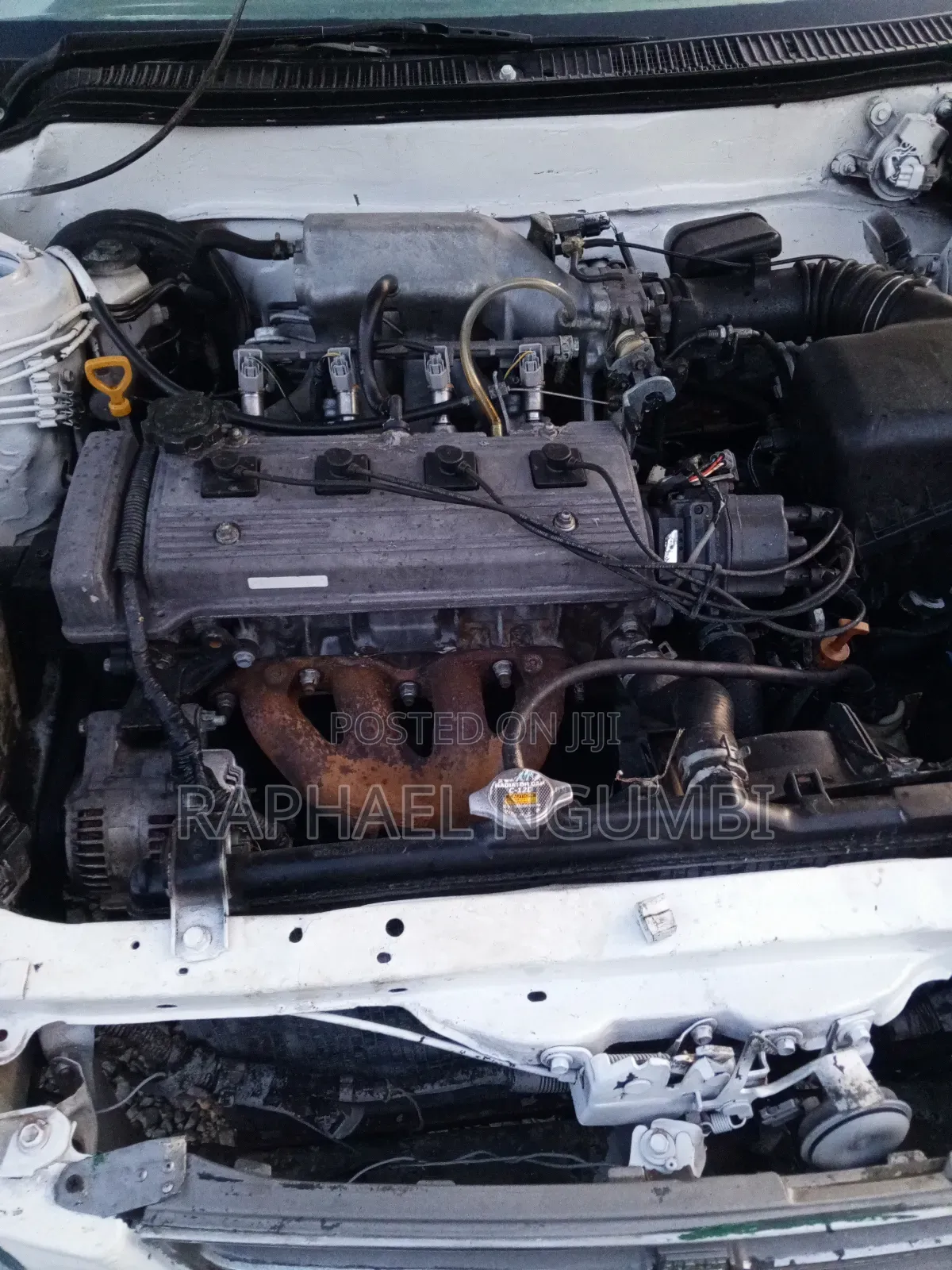Toyota Sprinter 1998 White