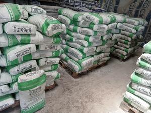 Cleopatra 42.5N - main view