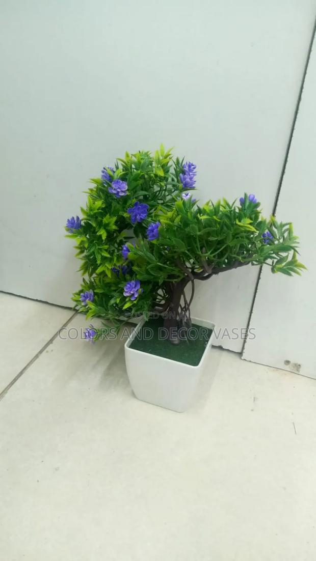 Purple Flowered Bonsai in Stock