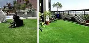 All Weather Artificial Turf Grass Carpets