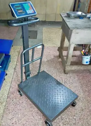 600kgs Digital Platform Weighing Scale/ Weighing Scale 600kg