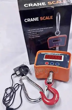 500kg Crane Scale Hanging Weighing Scale 500kgs Crane