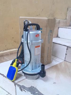 Maxpolar Submersible Original Pump 35m Head. - main view