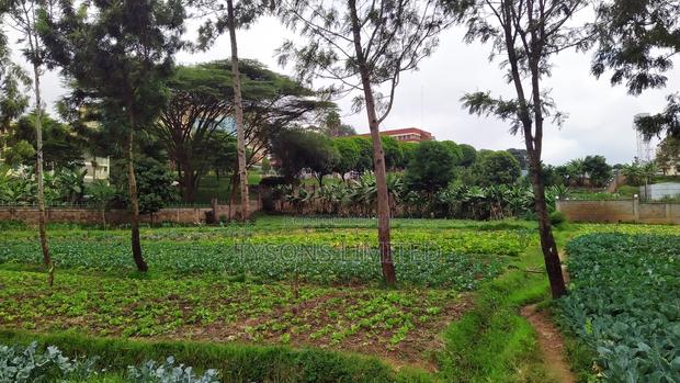 Vacant Land for Sale in Loresho - thumbnail 4