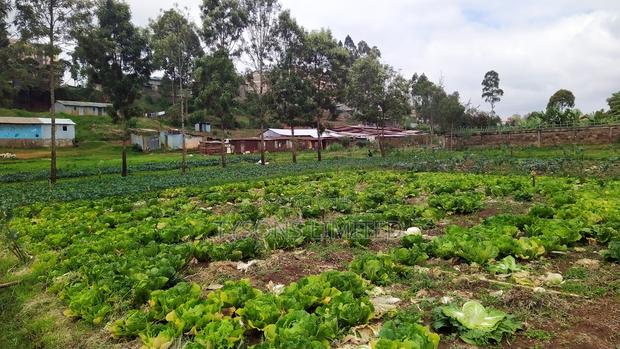 Vacant Land for Sale in Loresho - thumbnail 5