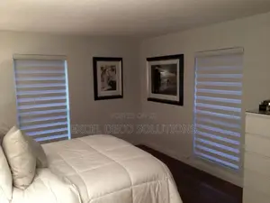 Zebra Blinds With Modern Decorative Window Finish